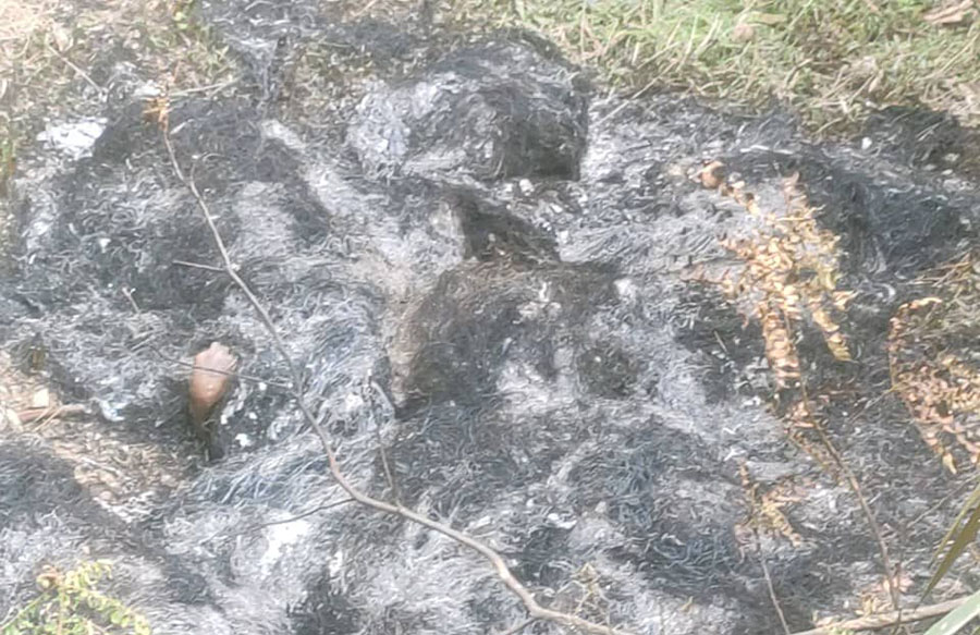 आगो लगाएर एकल महिलाको हत्या, प्रहरीले २ जनालाई समात्यो