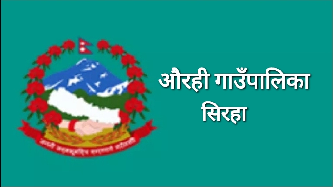 औरही गाउँपालिका‌ले करारका सबै कर्मचारी हटाउने !