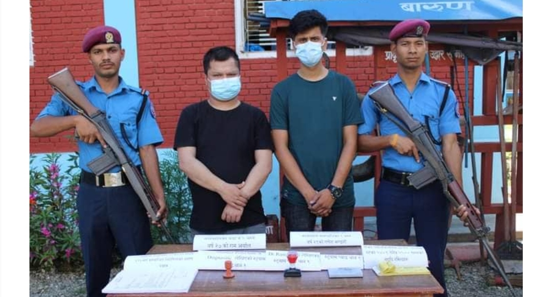 Breaking- लाइसेन्सका लागि निरोगिताको प्रमाणपत्र दिने डाक्टर नै नक्कली
