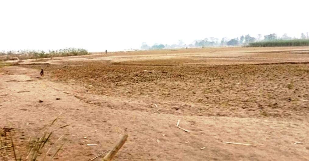 बाढीको त्रासले भजनीमा सयौँ बिघा जमिन बाँझै
