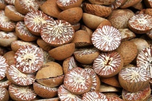 भारत लैजाँदै गरेको ३६५ केजी सुपारी बरामद