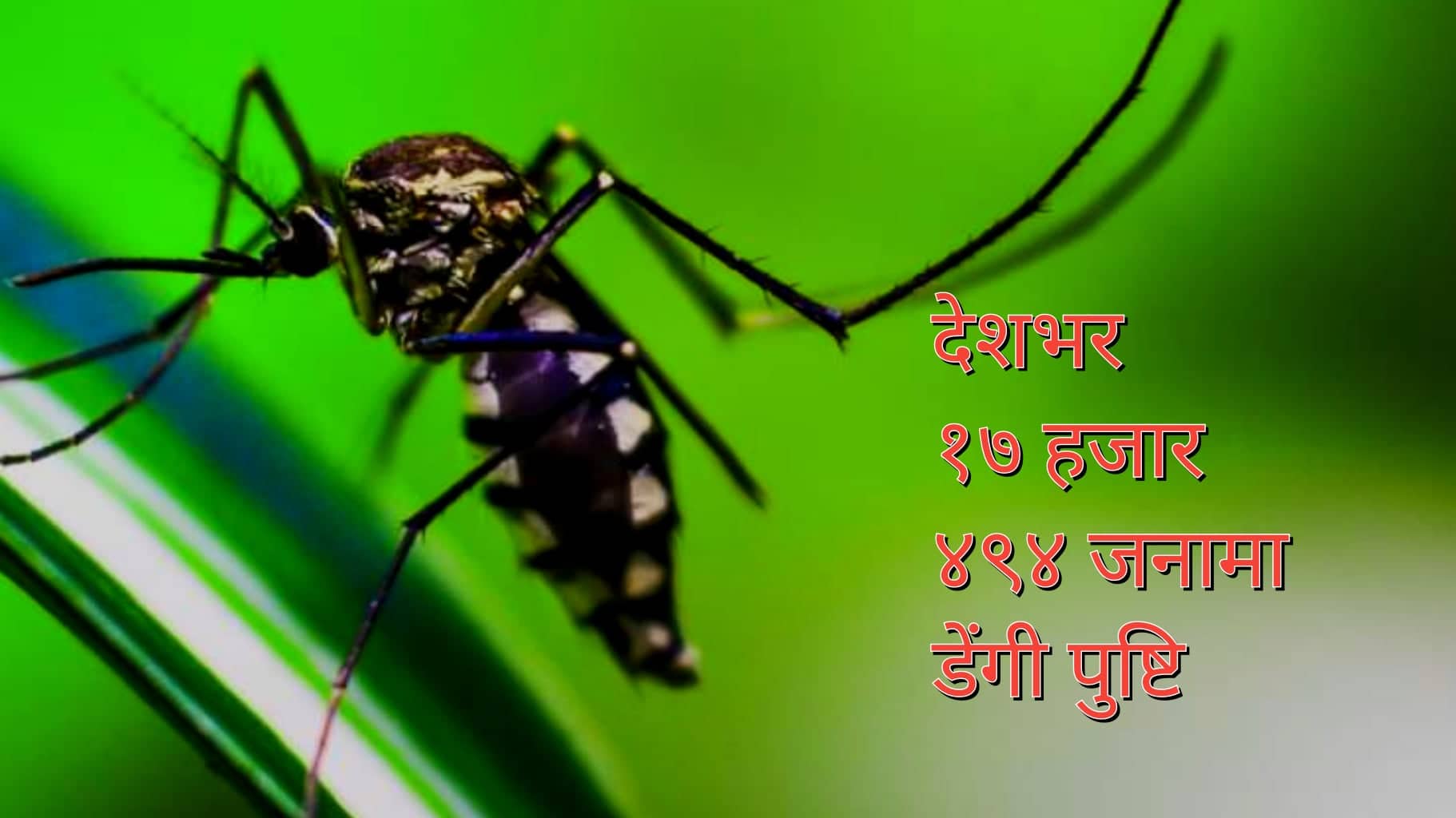 डेंगीलाई ‘राष्ट्रव्यापी प्रकोप’ घोषणा गर्न पत्राचार