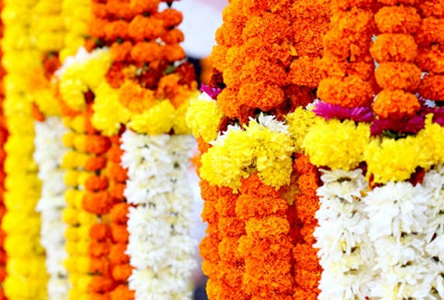 अब प्लास्टिकका फूलगुच्छा र माला बिक्री गरे १ लाखसम्म जरिवाना !