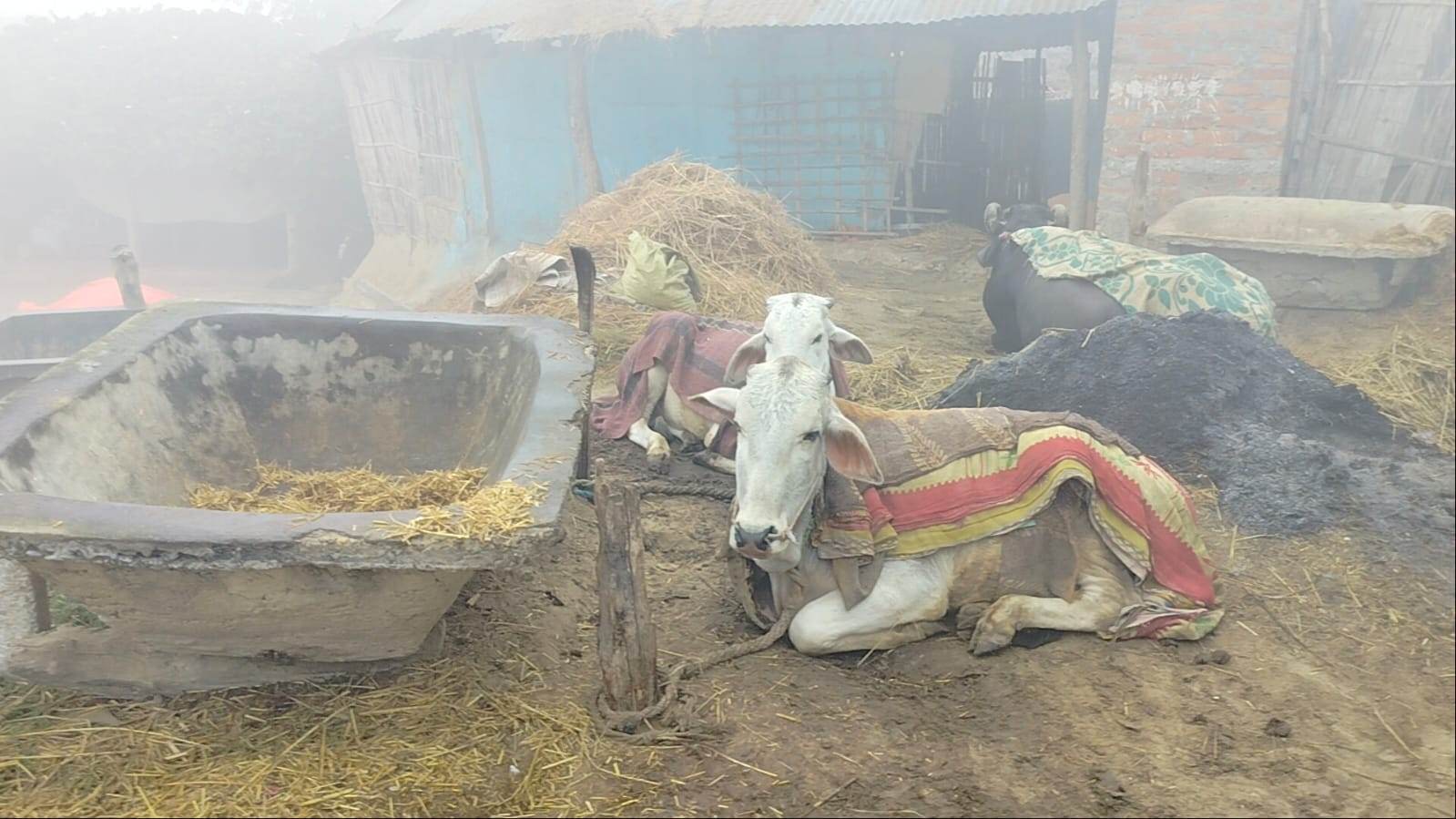 तराई मधेशमा शीतलहर अझै केही दिन कायमै रहने