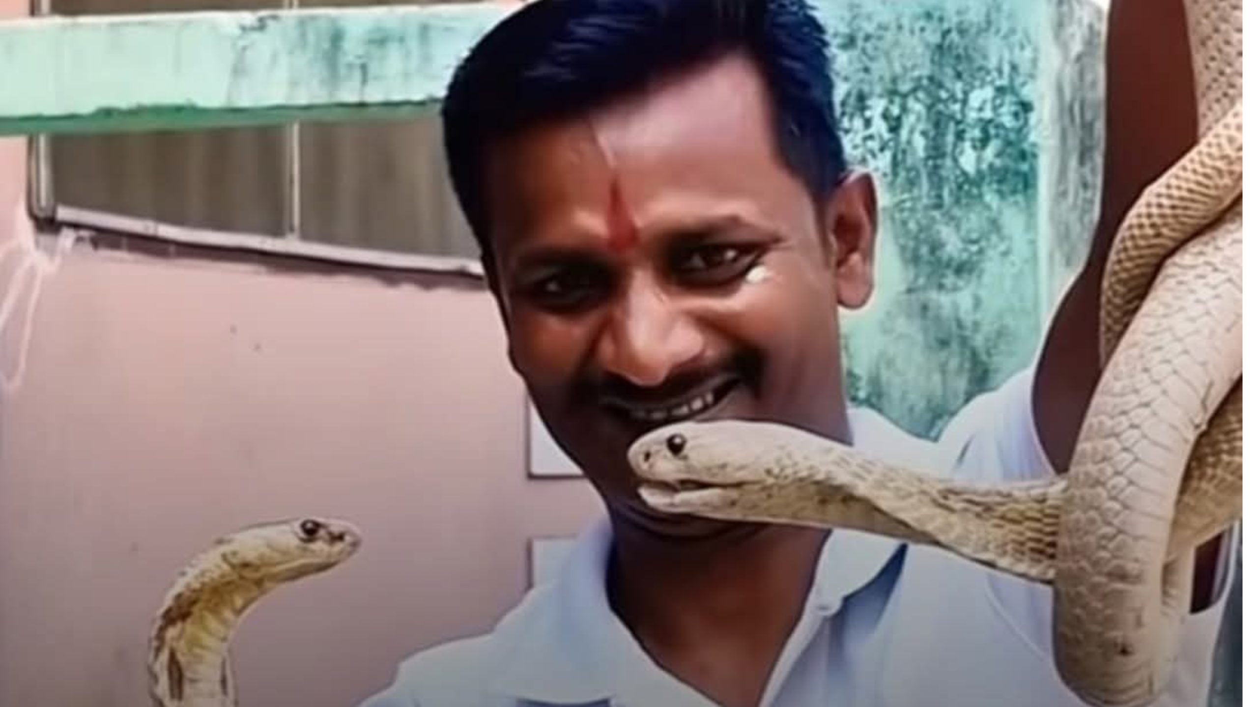 जयकुमार सहनी- २ हजार बढी सर्पको रक्षा गरे, सर्पकै टोकाइबाट प्राण त्यागे !