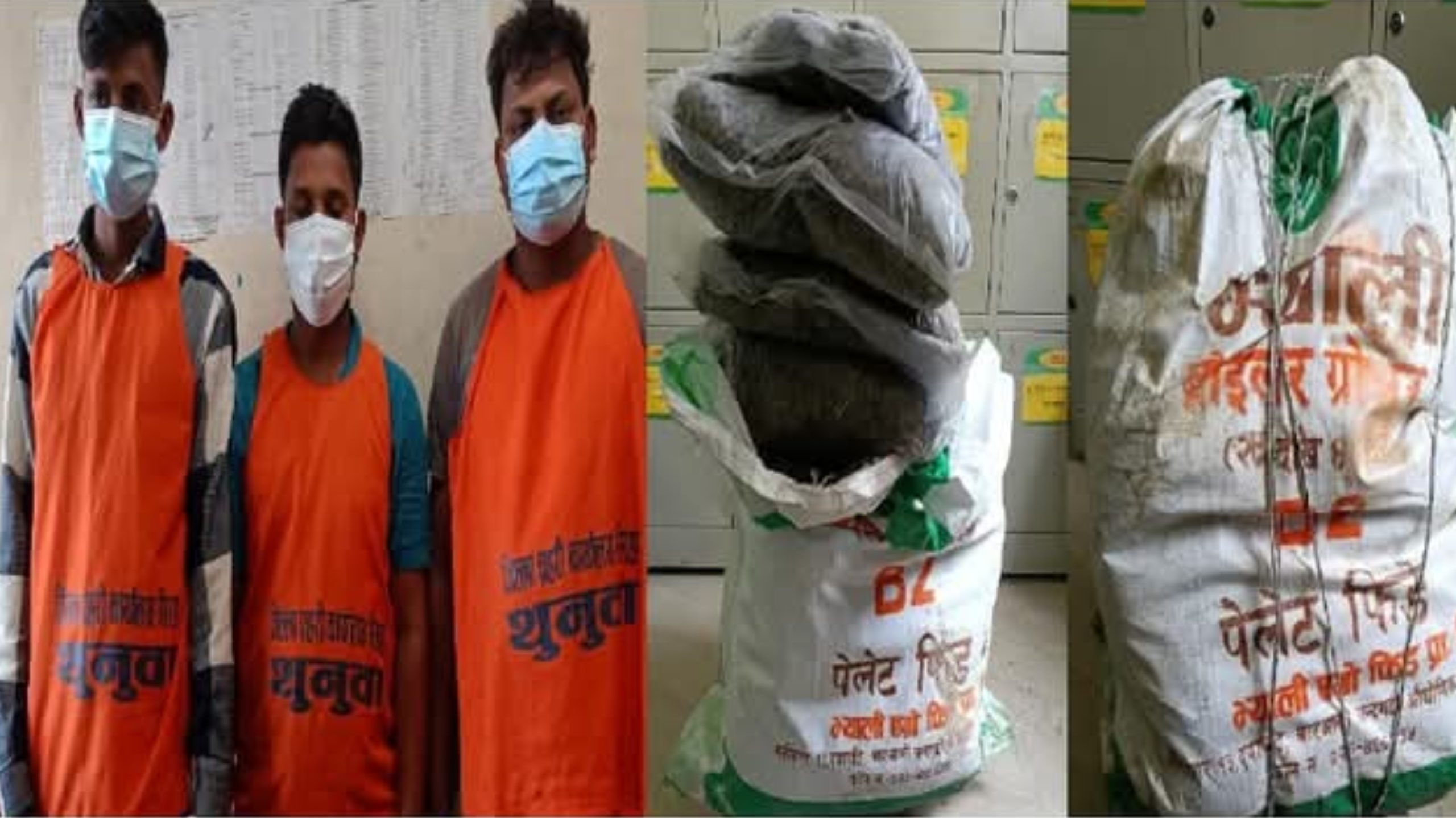 सिरहाको नरहामा कृषि फार्मबाट गाँजा बरामद, तीन जना पक्राउ