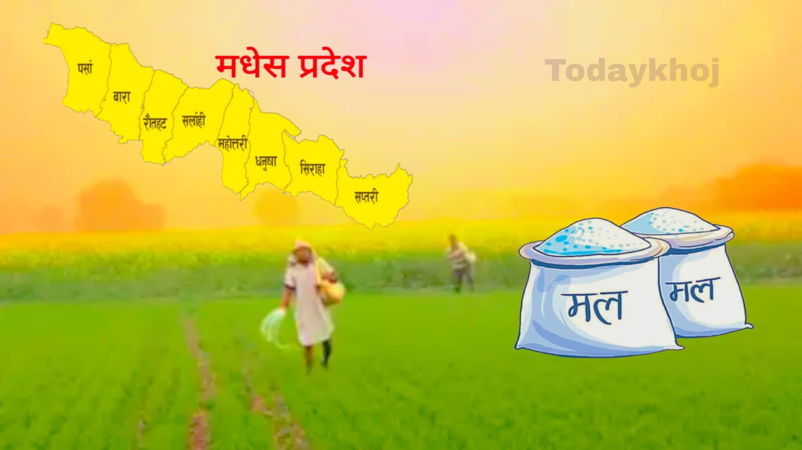 मलखादबिना कसरी पूरा होला ‘मधेशले देशलाई खुवाउने अभियान ?’